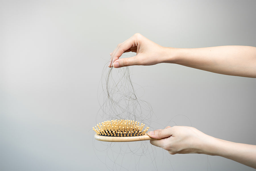 Haarausfall und Haare in der Bürste